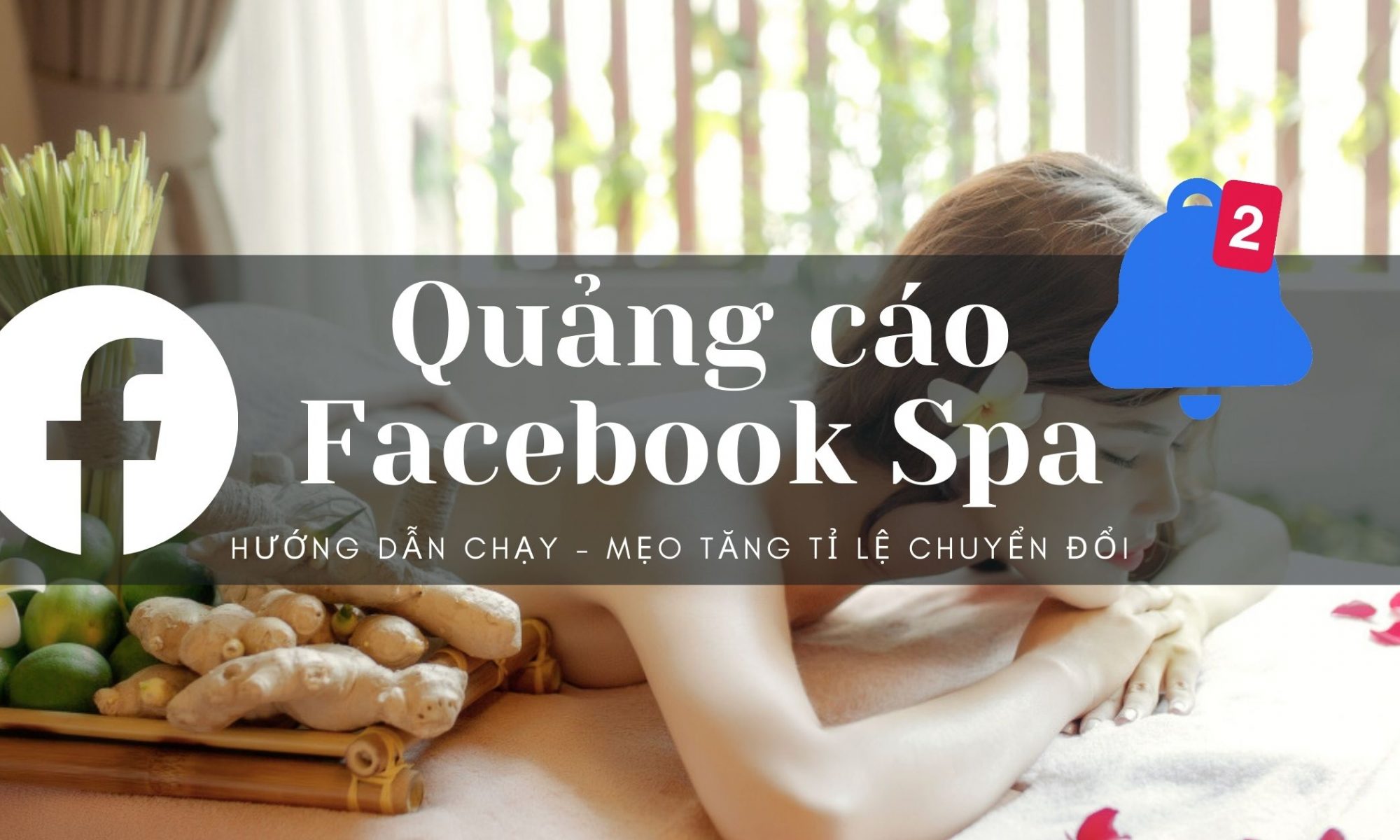Tại Sao Spa Nên Chạy Quảng Cáo Facebook? Giải Pháp Hiệu Quả Cùng Soil Media