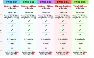 Các hình thức quảng cáo chính trên Facebook
